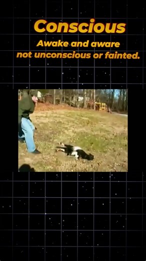 Why do goats fall over but stay awake? #why #science