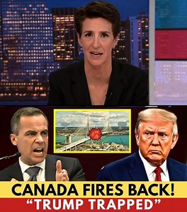 3 MIN AGO : Carney Responds to Trump’s Threat Over the Gordie Howe Bridge | Rachel Maddow If you look at the satellite feed over Detroit and Windsor right now, you see two very different worlds. On one side is the Ambassador Bridge: old, crowded, and privately owned—a relic choking on its own congestion. Just down the river, you see the future: the Gordie Howe International Bridge. It is a massive, gleaming eight-lane expanse of concrete and steel, a $4.6 billion project that was supposed to be 