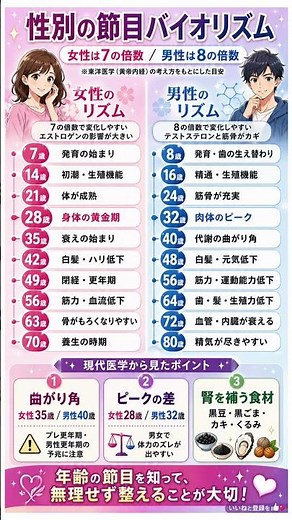 【驚愕】女性は7年、男性は8年周期？一生の体調を支配する「運命のリズム」徹底解説！｜曲がり角の正体と、腎を補い若さを保つための最強の食事術