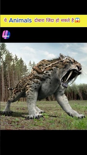 Extinct Animals Coming Back to Life! 😱