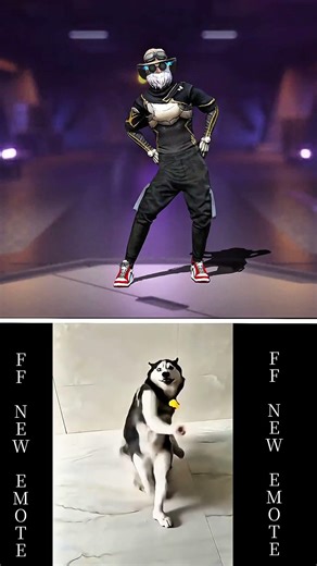 HUSKY DANCE × FREE FIRE🔥 #huskydog #husky #freefire#ffshorts#ffviral#ajjubhaiandsooneeta#raistar#ff
