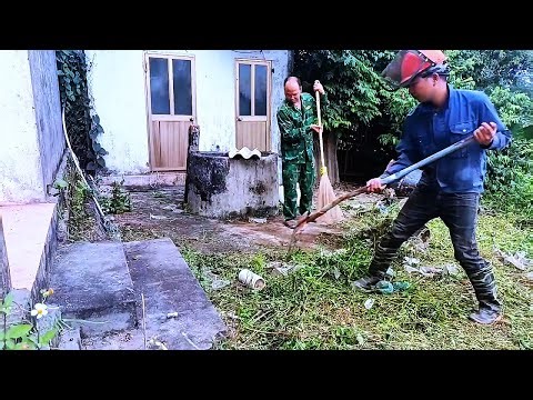 Free cleaning of abandoned yards and overgrown grass.