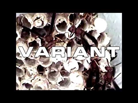 Variant - Teaser Trailer