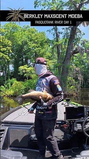 THEY CAN'T RESIST IT! #bassfishing #fishing #largemouthbass #berkleyfishing #lake