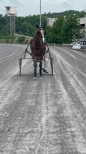 GEOCENTRIC wins the Adios Betty PA Sire Stake for 3FP in 1:51.1. #harnessracing #foryou #reels #standardbred | Meadows Standardbred Owners Association