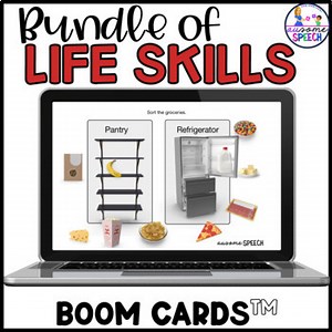 Functional Life Skills Bundle: Problem Solving, Sequencing, Hygiene
