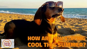 How are you chillin' this summer? Nothing beats having cool refreshing treats from the frozen and dairy aisles! Get easy recipes and ideas here: https://bit.ly/2Lkfg9l Easy Home Meals #RealFoodFrozen #DairyandBeyond #CoolFood | Mr. Food Test Kitchen