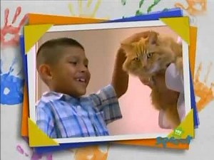 Barney & Friends - Vets (Season 10, Episode 9B)