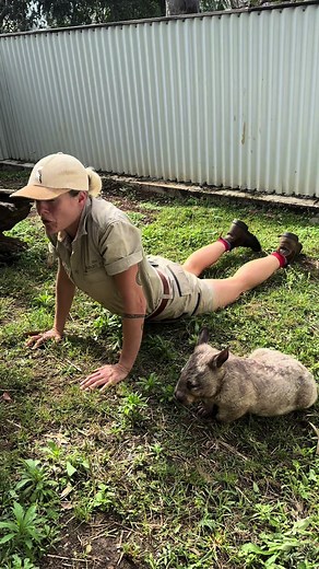 Yoga Classes with Wombat Stew: Flexibility Unleashed
