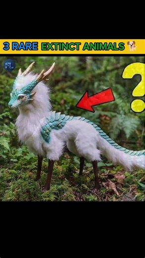3 RARE EXTINCT ANIMALS IN THE WORLD🐎 #facts #amazingfacts ‎⁨@FactsMine⁩