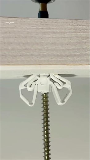 How a Drywall Anchor Actually Works 🔧🏗️