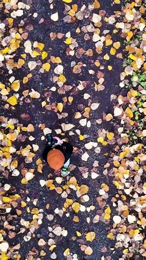 Visit Smithers during the fall.