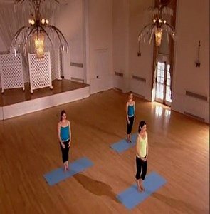 Ellen Barrett - Fat Burning Fusion