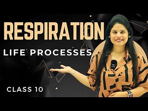 Respiration | Chapter 5 | Introduction | Class 10 Science | NCERT