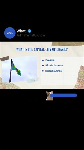 What is the capital city of Brazil? | what.