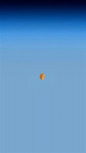 Discover How Many Teeth Different Creatures Have