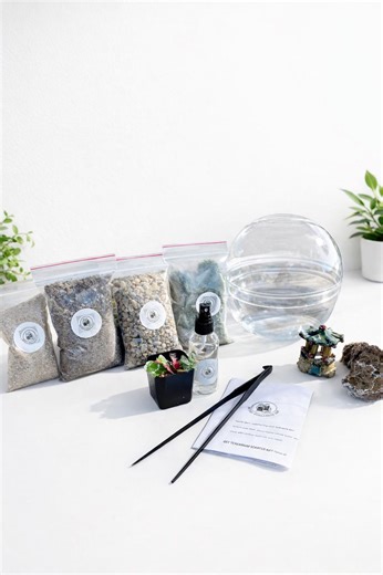 DIY Live Moss Terrarium Kit | 7" Dome Glass Jar, Garden Craft - Etsy Canada