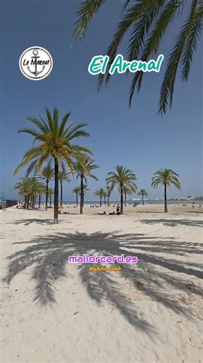 2.1K views · 449 reactions | At the southern end of Playa de Palma,...