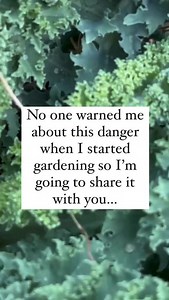 61K views · 9.2K reactions | Comment QUIZ if you’re ready to figure...