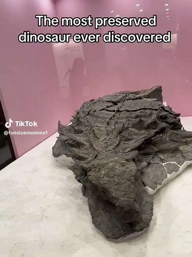 Incredible Nodosaur Discovery in Alberta