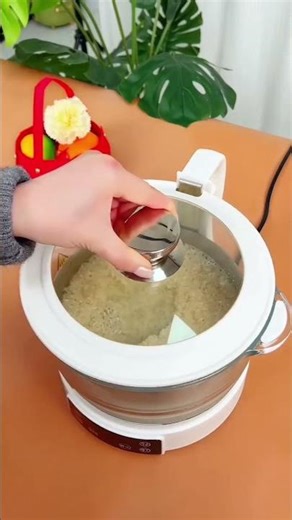 "Smart Electric Steamer & Rice Cooker Review – Glass Pot Cooking Experience 🍚 #gadgetreview #gadgets