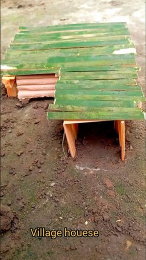 How to make a simple body scrub at a low cost#house #shorts