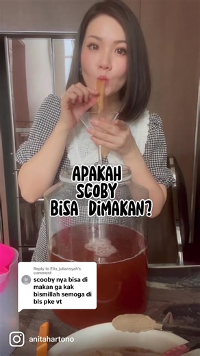 Mengenal Scoby dan Manfaatnya dalam Kombucha