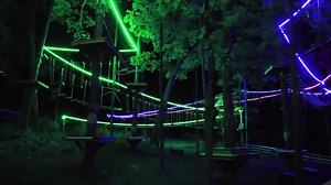 46K views · 16 reactions | TreeRunner Grand Rapids Adventure Park on Reels | Facebook