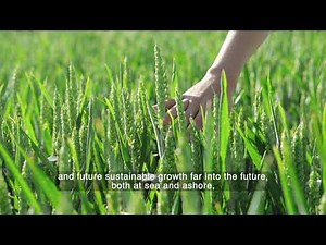 World Maritime Day 2020 - IMO Secretary-General's message