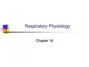 Respiratory Physiology - SlideServe