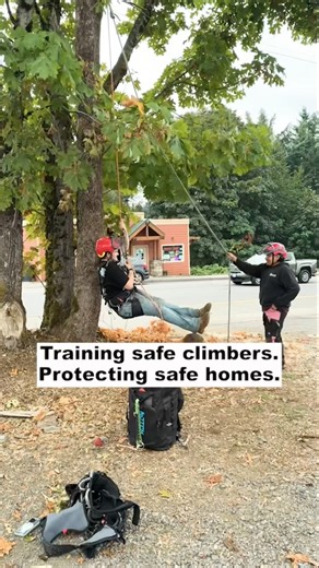 Why Tree Work Isn’t a DIY Job (and Who’s Doing It Safely) #TreeCareTips #shorts #youthempowerment