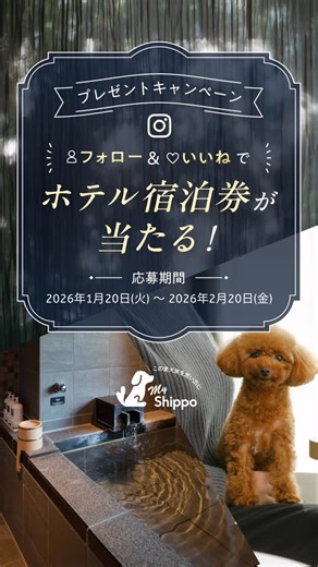 My Shippo on Instagram: "＼My Shippo Instagramフォロー＆いいね！キャンペーン／ フォロー＆いいねで5組10名様にホテル宿泊券が当たる🎁 本投稿のコメント欄にて、行ってみたいMy Shippoホテルをコメントすると当選確率アップ！ たくさんのご応募をお待ちしております！ ■キャンペーン概要 期間中、My ShippoのInstagram公式アカウント(@myshippodog)をフォローし、本Instagramキャンペーン投稿にいいね！をしてください。 フォロー＆いいね！をされた方の中から抽選で、1泊朝食ペア+愛犬1頭宿泊券を5組10名様にプレゼントいたします。 ■応募期間 2026年1月20日(火) ～ 2026年2月20日(金)23：59まで ■応募方法 ①My ShippoのInstagram公式アカウント(@myshippodog)をフォロー ②この投稿にいいね！を押す ③応募完了✅ 【コメントで当選確率アップ！】 行ってみたいMy Shippoホテルをコメントしてください！ ■対象ホテル 富士マリオットホテル山中湖 軽井沢マリオット