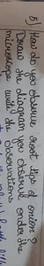 5) How do you observe root tips of onion? Draw the diagram you ... | Filo