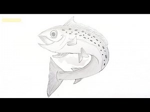 How to draw an easy realistic salmon fish?//draw sardine//art salmon//easyart//