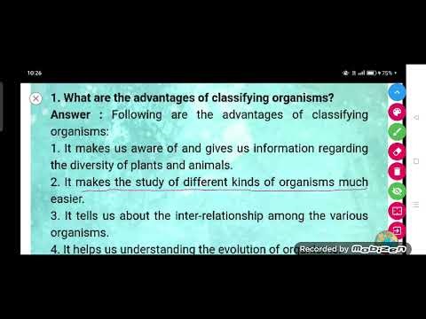 What are the advantages of classifying organisms?