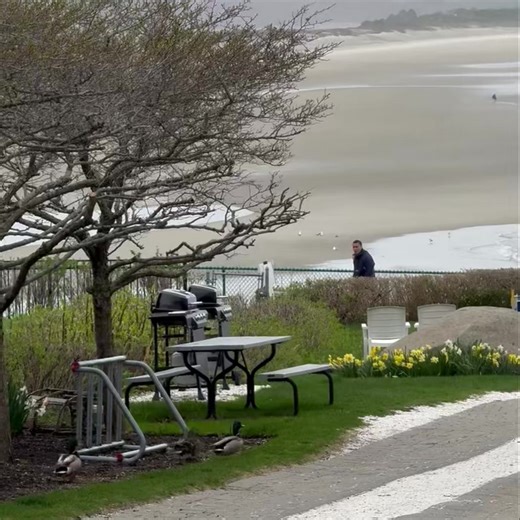 10K views · 259 reactions | New guests checking in today. We love the waddle #ogunquitbeach #ogunquitme #ogunquitmaine #ogunquit #tgif | The Beachmere Inn | Facebook