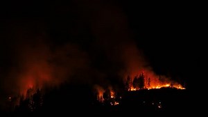 Timelapse Night Forest Fire Trees Engulfed in Flames