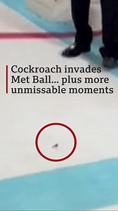 87K views · 889 reactions | From an invading cockroach to pregnancy reveals… here's the Met Gala's unmissable moments. https://bbc.in/3Nvifg5 | BBC News | Facebook