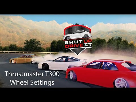 Wheel Settings Guide | Assetto Corsa | Thrustmaster T300