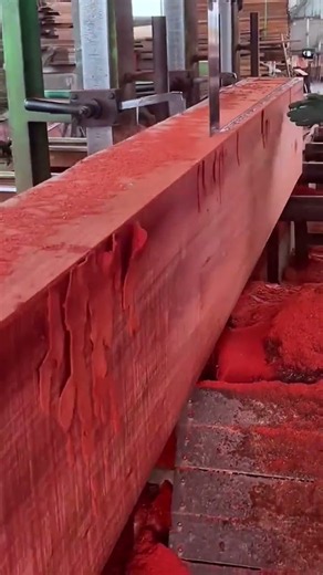 Red Rosewood Cutting Process | Real Wood Factory Workshop Video #woodworking #viralvideo
