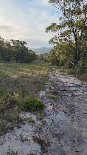 Crime Pays But Botany Doesn’t on TikTok