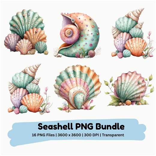 Seashell PNG Bundle | Coastal Beach Clipart Ocean Shell Summer Sublimation Design Instant Download - Etsy