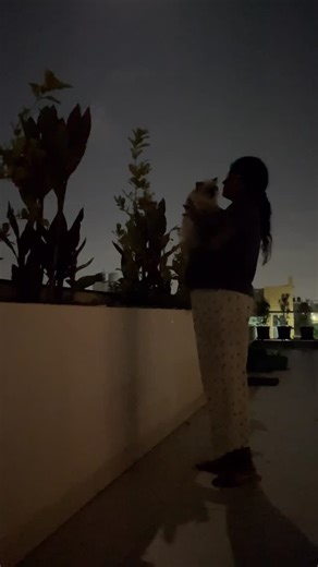 Mythily Muthu on Instagram: "Added solar lights to our garden and the night view looks magical ✨ No power connection, easy installation, and fully solar. The before and after transformation is so satisfying. Remote control and color-changing modes make it even more special. Perfect lights to enjoy peaceful evenings in the garden 🌿🌙"