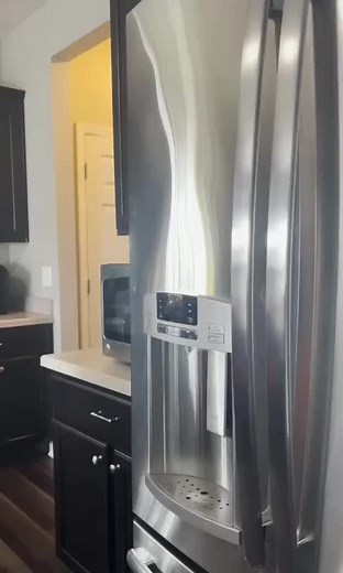 Exploring Modern Kitchen Designs with Animated Insects