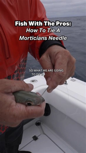 Captain Tucker is back with another pro tip — this time, it’s all about the Mortician’s Needle. Learn how to bridle bait like a pro with a technique that keeps your catch coming. No fluff. Just straight-up skill from the Florida Keys. 🎣 Want more like this? Follow us for tips, tricks, and Two Conchs know-how. Spots are limited for Fishing Camp — grab yours now at twoconchs.com. #floridakeys #marathonflorida #marathonfl #floridakeysvacation #KeysFishing #floridafishing #Floridakeysfishing #tarpo