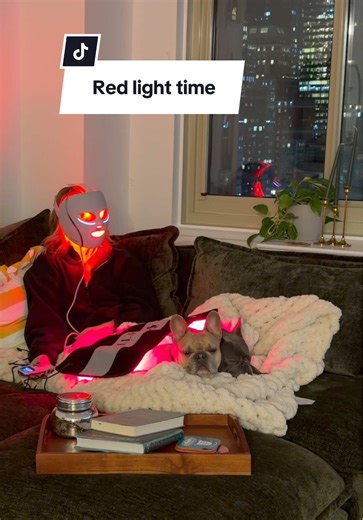 Red Light Therapy Benefits for Dogs Explained