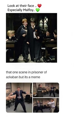 Look at Their Face... Especially Malfoy 😍❤️#DracoMalfoy#Memes #FYP
