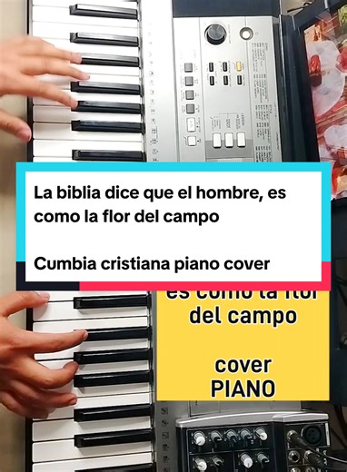 Piano La biblia dice que el hombre es como la flor del campo #piano #labibliadicequeelhombre #pianoalabanzas #podercristiano #cumbiacristiana
