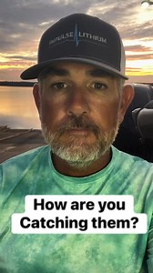 How have we been catching all of those good fish during guide trips on Sam Rayburn over the last several weeks? These are the baits and how we are having crazy good days out on the water for numbers and big ones! | Clark Reehm