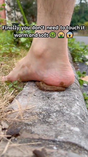 No more messy pickups 🐾 This portable poop claw makes walks way cleaner—and it even comes with bags! | Babyidc